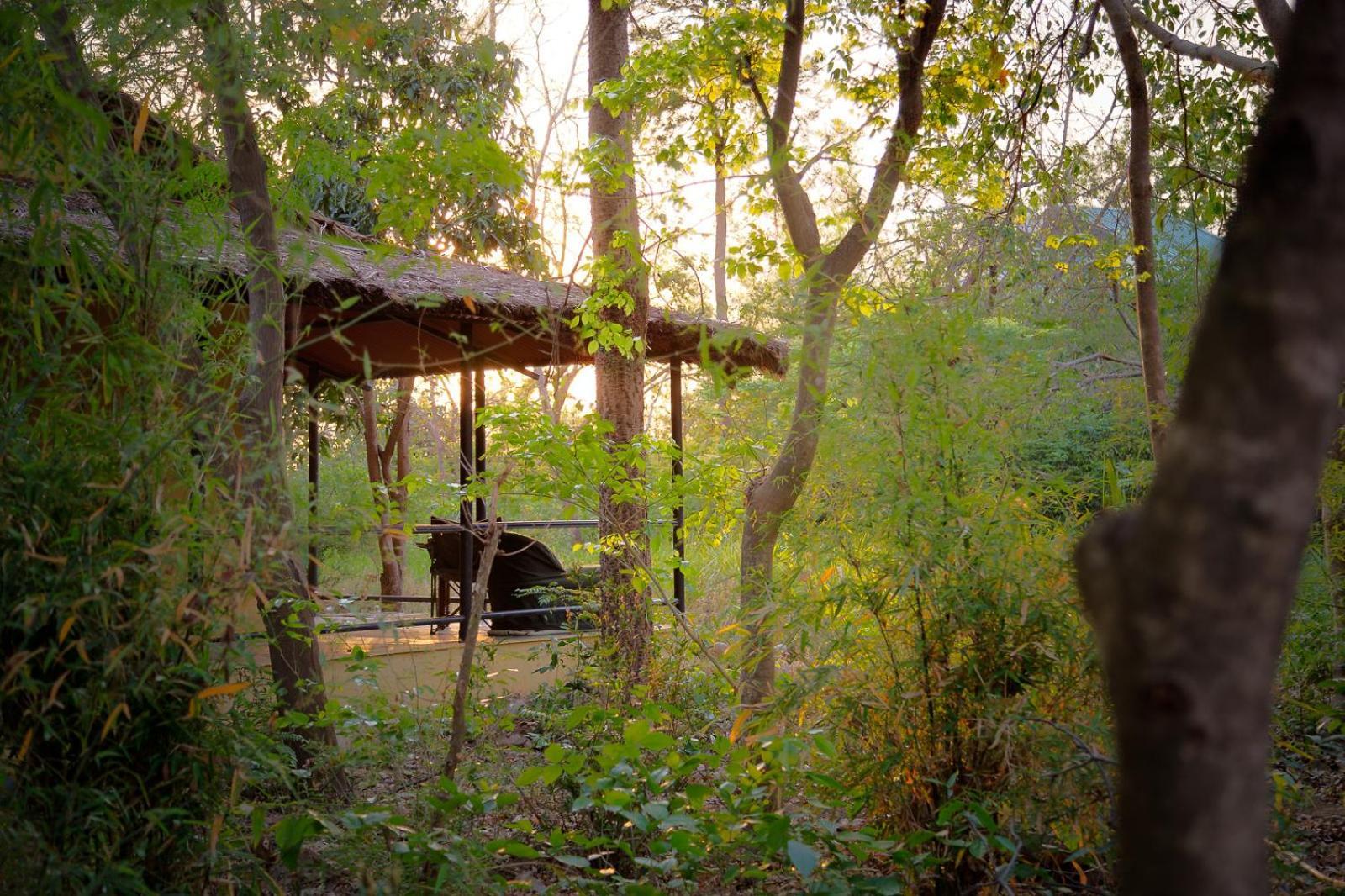 Jim'S Jungle Retreat Hotel Rāmnagar Exterior foto