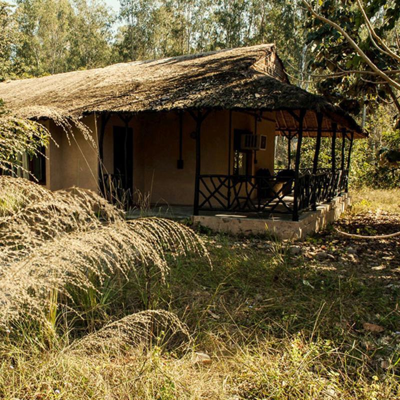 Jim'S Jungle Retreat Hotel Rāmnagar Exterior foto