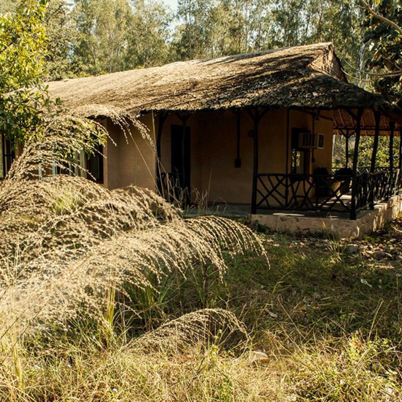 Jim'S Jungle Retreat Hotel Rāmnagar Exterior foto