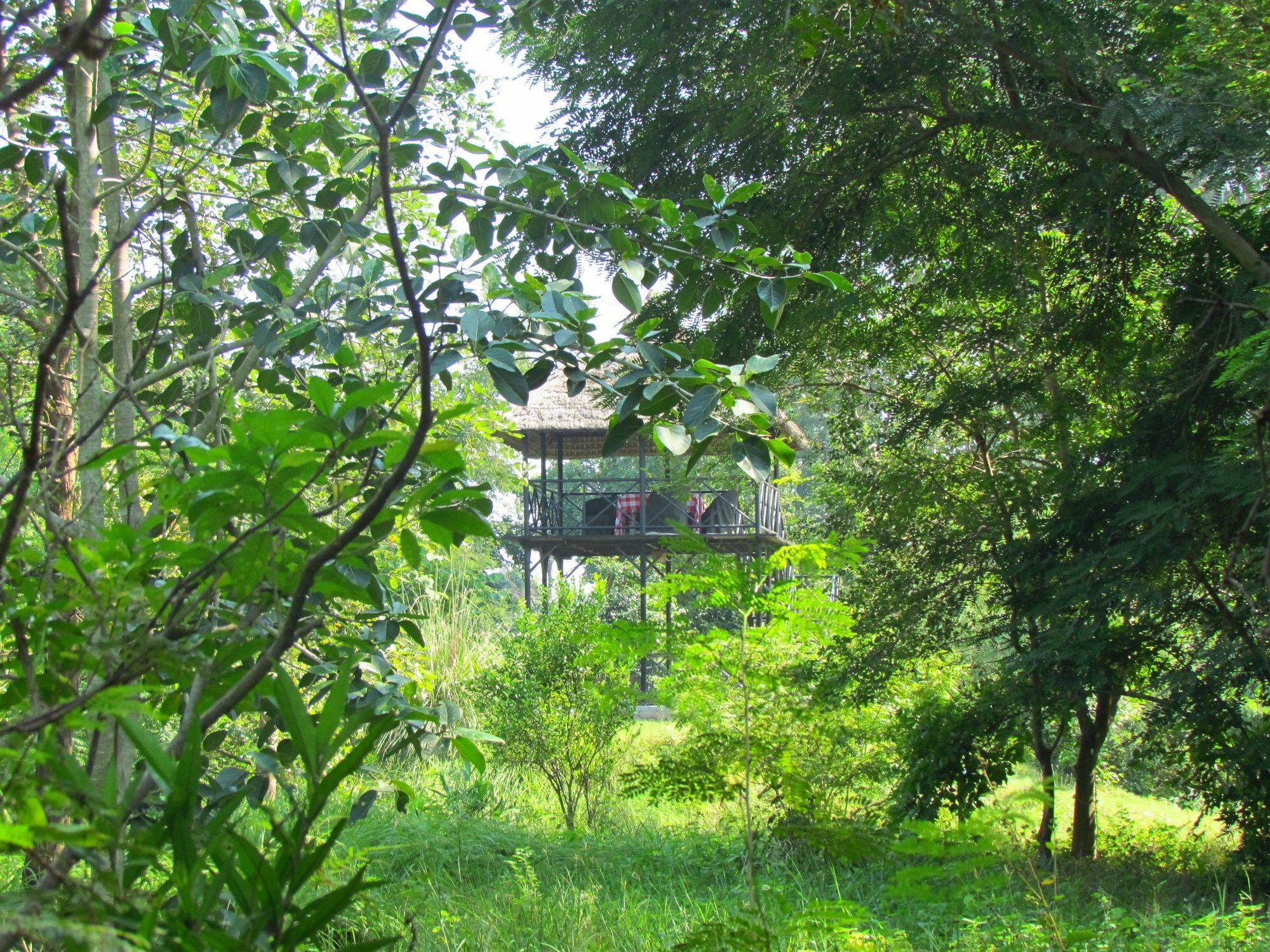 Jim'S Jungle Retreat Hotel Rāmnagar Exterior foto